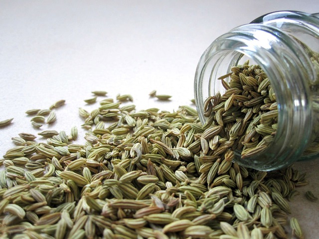 fennel- indian spices exporters in india